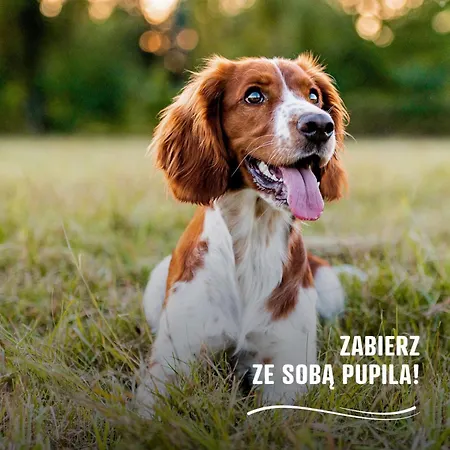 Wsrod Drzew River Park Sauna Θέρετρο Zator