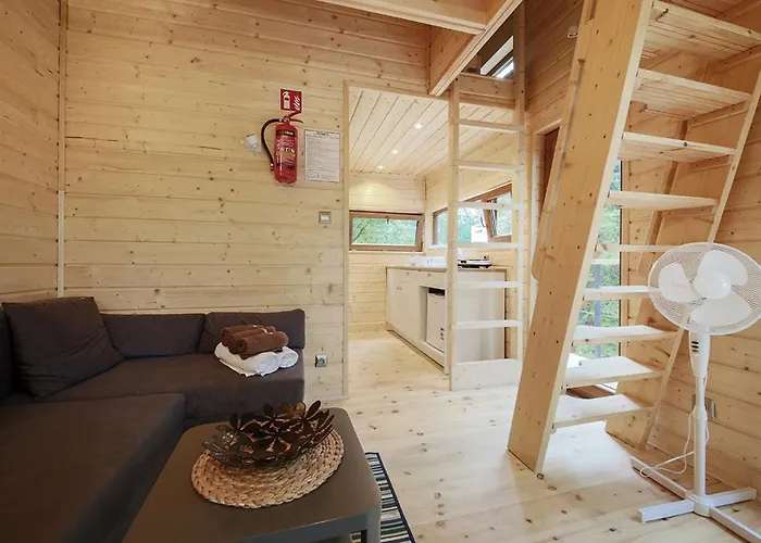 Wśród Drzew River Park Sauna Zator