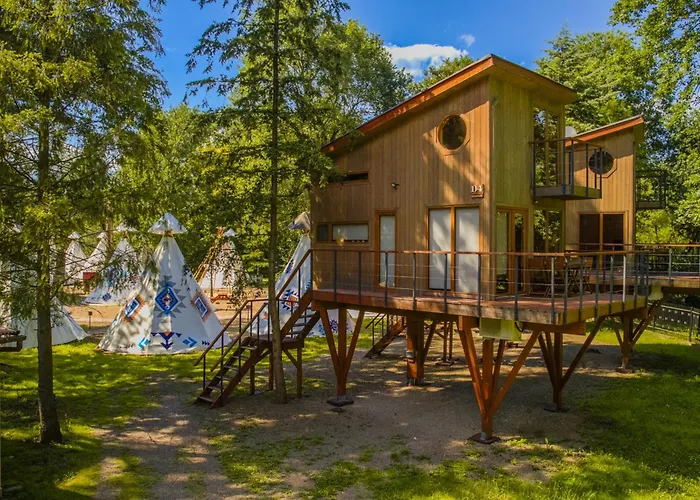 Wśród Drzew River Park Sauna * Zator