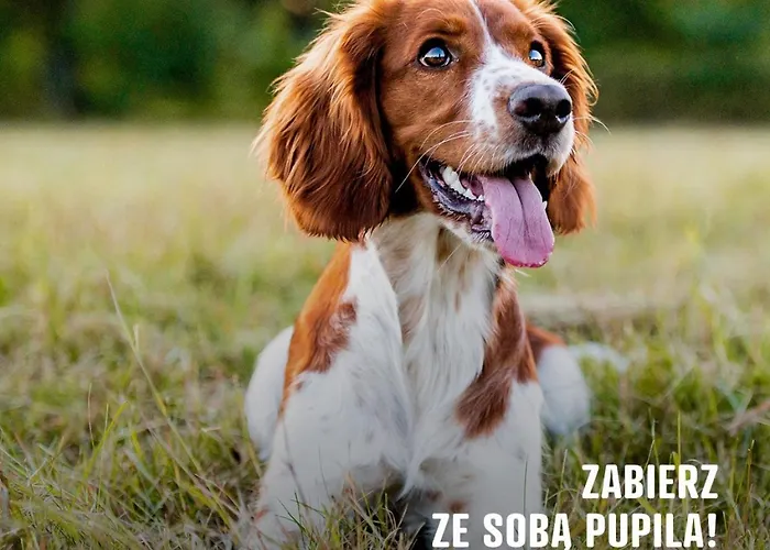 Wśród Drzew River Park Sauna Ośrodek wypoczynkowy Zator